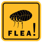 Rugster
